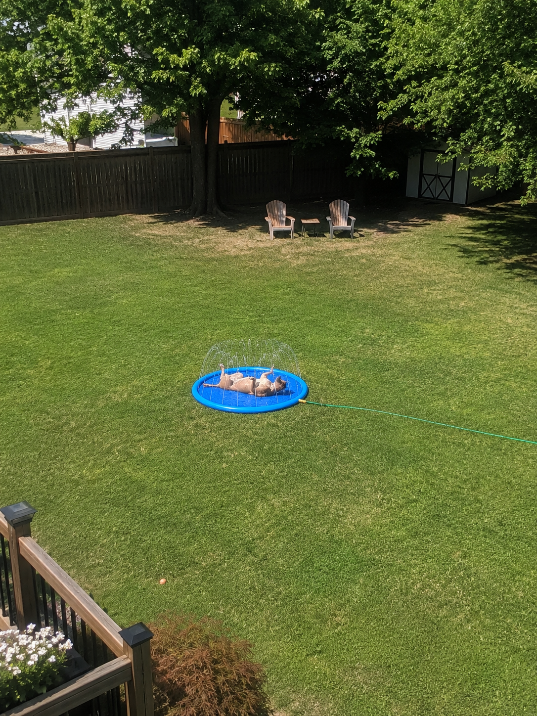 Happy customer photo