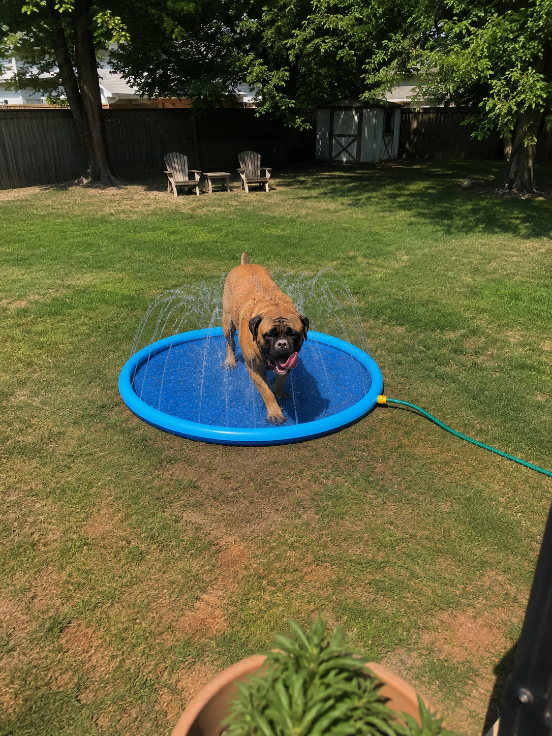 Happy customer photo